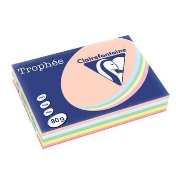 Papier de Couleur Papier de Couleur