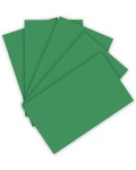 Feuille de couleur A4 - 210 x 297 mm - Vert mousse : FOLIA Visuel