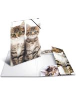 Chemise à rabats - Motif Chats - A4 : HERMA Visuel