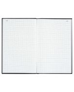 LE DAUPHIN Registre de 300 pages quadrillées avec foliotage - 340 x 225 mm 7539D