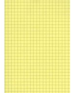 Fiches Bristol A5 - 148 x 210 mm - Jaune quadrillé ELVE B14813J jaune