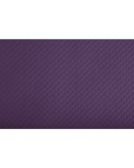Sets de Table en papier - Aubergine : COGIR Lot de 500 Visuel
