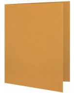 Photo Chemise pour dossiers A4 250g/m² - Jaune ELBA