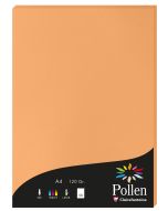 Photo Feuille de couleur Clémentine 210 x 297 mm A4 POLLEN 4208C