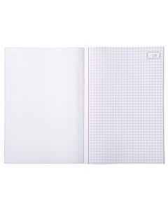 LE DAUPHIN 1113D Manifold quadrillé autocopiant tripli  210 x 148 mm Modèle 