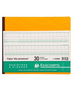 Registre tête paresseuse - 30 colonnes sur 2 pages - 270 x 320 mm (EXACOMPTA 16300E : Journal) Couverture