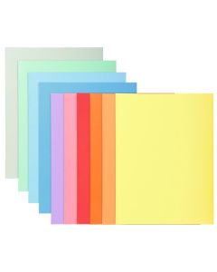 330100E EXACOMPTA : Chemises pour dossiers A4 SUPER 210 - Assortiment