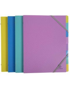 Photo Trieur 8 compartiments - Assortiment EXACOMPTA Forever Young