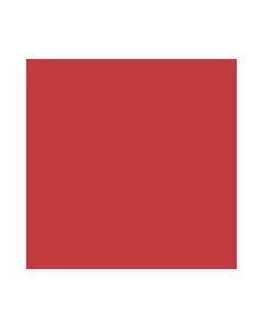 Feuilles de papier de couleur - 500 x 700 mm - Hibiscus : FOLIA Lot de 10