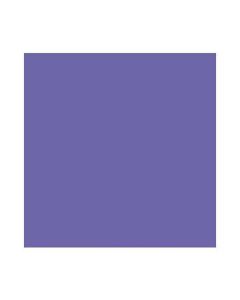 Feuilles de papier de couleur - 500 x 700 mm - Bleu violette : FOLIA Lot de 10