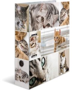 Classeur à levier - Chats - Dos de 70 mm : HERMA Animaux Image