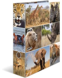Classeur à levier - Animaux d'Afrique - Dos de 70 mm : HERMA Image