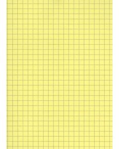 Fiches Bristol - 125 x 200 mm - Jaune quadrillé ELVE B12513J jaune