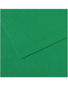 Feuille de papier dessin Mi-teintes - Vert herbe - 500 x 650 mm : CANSON Photo