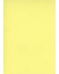 Fiches Bristol Unies A4 - 297 x 210 mm - Jaune : ELVE Lot de 100 Modèle