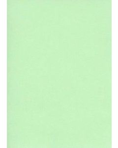 Fiches Bristol Unies A4 - 297 x 210 mm - Vert : ELVE Lot de 100 Illustration