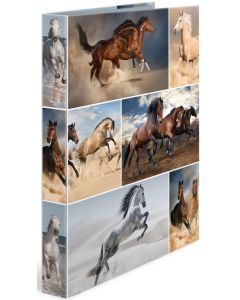 Classeur à 4 anneaux - Dos de 35 mm - Chevaux HERMA Image