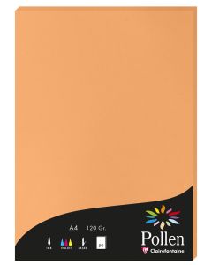 Photo Feuille de couleur Clémentine 210 x 297 mm A4 POLLEN 4208C