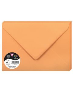 Photo Enveloppe POLLEN Clémentine Format  162 x 229 mm 5492C