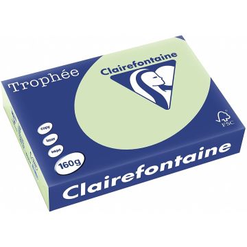 Ramette de papier Trophée de 250 feuilles A4 160g - Vert Nature : CLAIREFONTAINE Photo