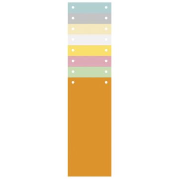 Intercalaires bristol - 240 x 105 mm - Assortiment EXACOMPTA visuel