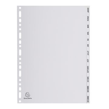 EXACOMPTA Jeu de 12 intercalaires mensuels en PP janvier à décembre 1812E