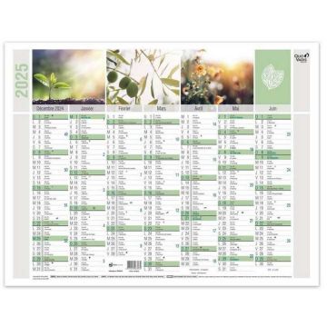 Calendrier mural 2025 - 430 x 335 mm QUO VADIS Equology 238089Q Décembre à Juin