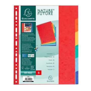 Jeu de 6 Intercalaires A4 maxi en carte lustrée - Assortiment EXACOMPTA
