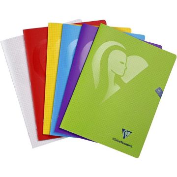 Cahier 240 x 320 mm Petits carreaux - 96 pages CLAIREFONTAINE Mimesys Modèle