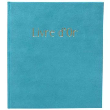 Livre d'or - 270 x 220 mm - 100 pages - Gris : EXACOMPTA Ellipse image