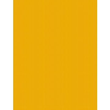 Carton de Bricolage A4 - Jaune foncé - 300 g/m² : FOLIA Lot de 50 Visuel