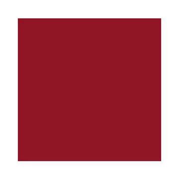 Feuilles de papier de couleur - 500 x 700 mm - Rouge tuile : FOLIA Lot de 10