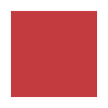 Feuilles de papier de couleur - 500 x 700 mm - Hibiscus : FOLIA Lot de 10