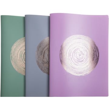 Protège-Documents de 60 Vues - Assortiment : EXACOMPTA Ellipse assortiment