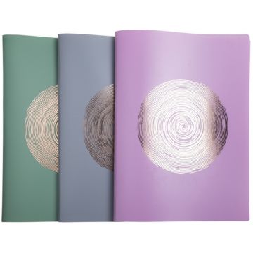 Protège-Documents de 80 Vues - Assortiment : EXACOMPTA Ellipse assortiment