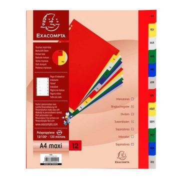 Jeu de 12 Intercalaires mensuels PP - Janvier à décembre - 245 x 297 mm EXACOMPTA