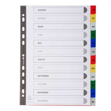 EXACOMPTA : Jeu de 12 intercalaires mensuels en PP janvier à décembre Classement index