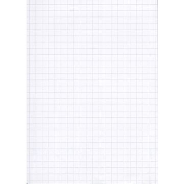 Lot de 100 Fiches Bristol quadrillées - 100 x 150 mm - Blanc ELVE B10013 modèle