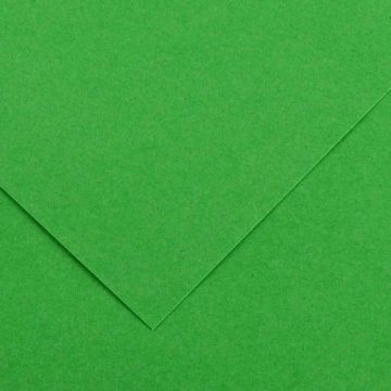 Feuilles de couleur 500 x 650 mm - Noir - CANSON Vivaldi