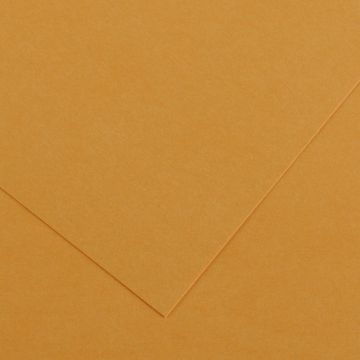 Feuilles de couleur 500 x 650 mm - Cuir - CANSON Vivaldi