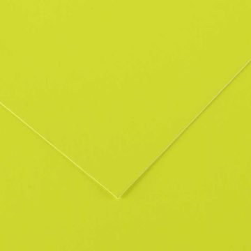 Feuilles de couleur 500 x 650 mm - Noir - CANSON Vivaldi