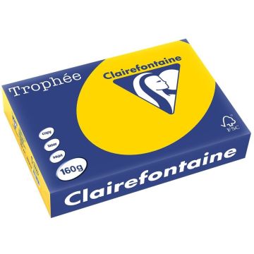Ramette de papier Trophée de 250 feuilles A4 160g - Jaune Or : CLAIREFONTAINE Image