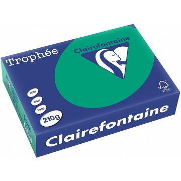 Ramette de papier de 250 feuilles A4 210g - Vert Sapin : CLAIREFONTAINE Trophée Visuel