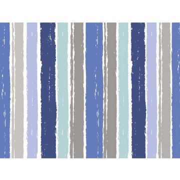 Set de Table Restaurant - Cabanon COGIR Lot de 400