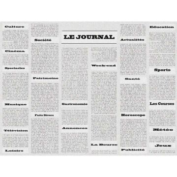 Sets de Table Restaurant - Motif Journal COGIR Lot de 400