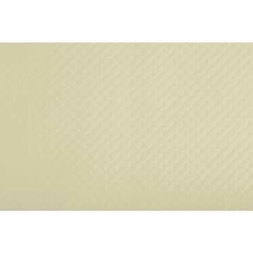 Lot de 500 Sets de Table Restaurant - Ivoire : COGIR Visuel