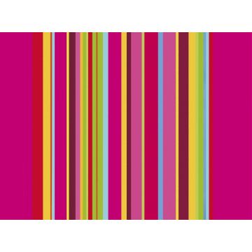 Sets de table Restaurant - Acidulé COGIR 334219 image