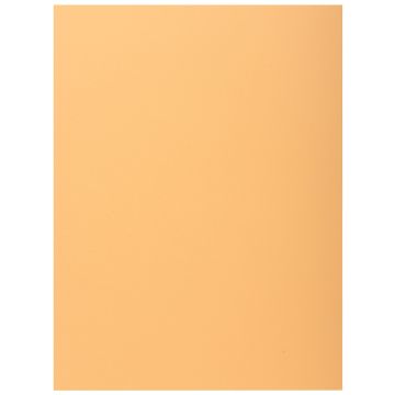 Lot de 100 Chemises à 1 rabat - Bulle EXACOMPTA Visuel