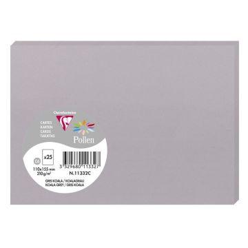 Photo POLLEN Carte Gris koala 110 x 155 mm C6 11332C Clairefontaine