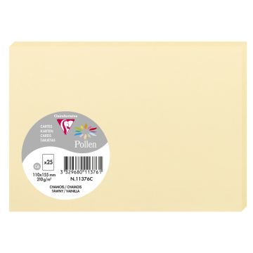 Photo POLLEN Carte Chamois 110 x 155 mm C6 11376C Clairefontaine